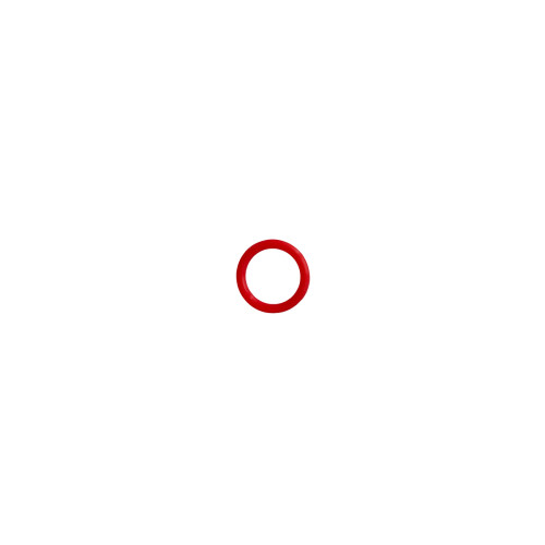 Commentaire client O-ring P10 pour Bellman Accessoire de tête de brassage